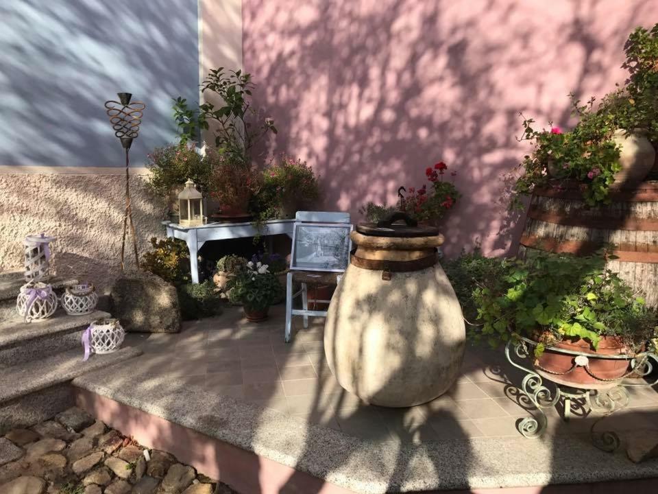Vesta Guest house *